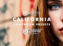 加州旅行城市摄影Lightroom预设 California Lightroom Presets