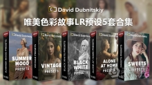 乌克兰摄影师大卫·杜布尼茨基(David Dubnitskiy)唯美色彩故事LR预设5套合集