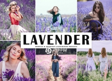 薰衣草旅拍人像LR预设/移动APP预设Lavender Lightroom Presets