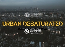24个旅拍城市景观摄影去饱和Lightroom预设+LUTs预设