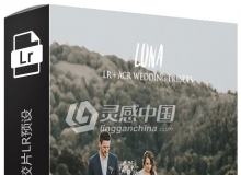 森系田园婚礼电影胶片LightRoom预设 Andrew Sun Color Luna Lightroom Presets