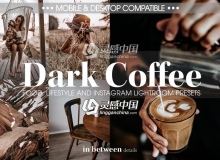 INS流行风格焦糖黑咖啡色调人像Lightroom预设+手机版LR预设