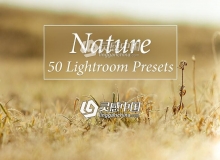 自然风景摄影Lightroom预设 50 Nature Lr Presets
