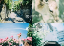日系文艺清新静物写真Lightroom调色后期PS LR预设/移动版LR预设/ACR预设+RAW原片
