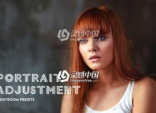 专业肖像修饰Lightroom预设 Art Zooted Portrait Adjustment LR Presets