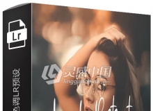 INS穆迪电影人像色调LR预设 25 Moody Portrait Lightroom Presets