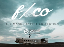 胶片LR预设 The Mango Street Collection | Lightroom Presets