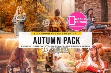暖色调深秋家庭人像胶片感PS/LR预设+APP预设 THE AUTUMN LIGHTROOM PRESETS