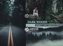 森系黑暗情绪电影胶片风光后期Lightroom预设/手机版LR预设