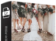 婚纱低对比度颗粒胶片Lightroom预设 DC GOLDEN Lightroom Presets Pack