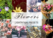 24个花卉植物摄影后期Lightroom预设 24 flowers lightroom presets