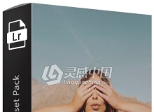 时尚摄影博主Emily Vartanian美式胶片风LR预设 Cali Girl Preset Pack