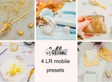 金色旅行移动版LR预设 GOLDEN MOBILE TRAVEL PRESET