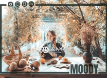 INS流行莫兰迪人像预设/LUT预设Epico Media Moody lightroom presets