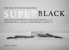单色黑白lightroom预设 SuperBlack Presets for Lightroom