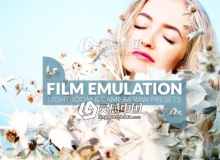 仿真电影胶片人像Lightroom预设+ACR预设 Film Emulation Lr & ACR