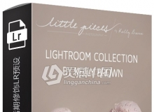摄影师Kelly Brown新生儿后期修饰LR预设 Lightroom Presets Collection
