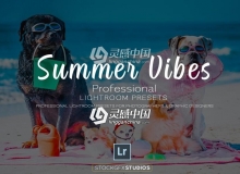夏季风景人像Lightroom预设 Summer Vibes Pro Lightroom Template