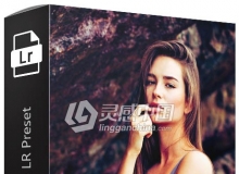 Lightroom预设 3RD Dmenson Lightroome Preset