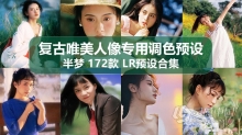 172款半梦爱复古唯美人像摄影后期调色专用LR预设