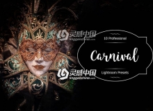 嘉年华Lightroom预设 Carnival Lightroom Presets