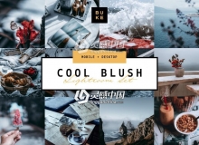 Ins风霸气中性灰冷色系Lightroom预设+手机APP/PR/PS/AE/FCPX/LUT滤镜