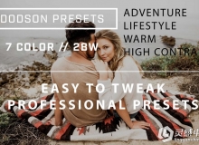 电影胶片感Lightroom预设第一部 Dodson Presets Pack 1