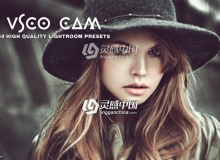 Vsco Cam Lightroom预设 Vsco Cam Lightroom Presets