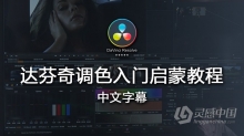 达芬奇教程  国外大师现场讲解达芬奇调色入门启蒙教程 中文字幕