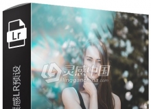 5款电影唯美质感LR预设 5 Lightroom Presets