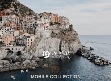 艺术胶片移动手机版Lightroom预设下载 Vivid Presets Mobile
