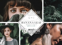 Insta网红森系胶片人像Lightroom预设+iPhone iPad,Android  LR APP滤镜