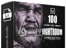 100 Pro Lightroom Presets Bundle