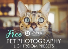 萌宠动物摄影后期Lightroom预设 18 Pet Photography Lightroom Presets