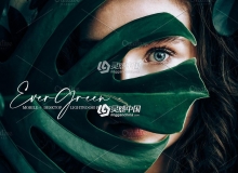 森系柔和电影胶片LR预设/手机LR预设 Evergreen Lightroom Presets
