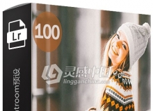 100+电影胶片Lightroom预设 100 Film Lightroom Presets