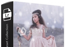 Pretty Presets冬季仙境系列Lightroom预设 Winter Wonderland Preset