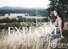 国外大师级浓郁人像电影胶片 VSCO Lightroom预设 Forest VSCO-Like Lightroom Preset
