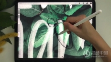 绘画教程 Procreate照片中添加引语和插图混合媒体数字绘画教程