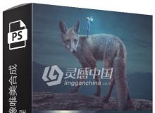 20套国外高端创意幻想人像唯美合成Rafya系列PS视频教程 附素材文件 第三季