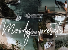 INS风格网红博主旅拍人像Lightroom预设+手机版lr预设MOODY BLOGGER
