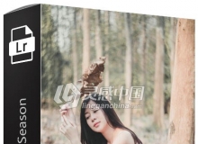 清新淡雅风Lightroom预设 Kamin - Fall Season Lightroom Presets