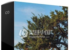 摄影师Chris Orwig风景环境肖像大师班视频教程中文字幕