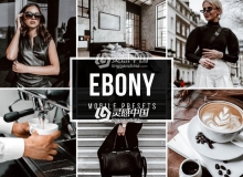 低饱和情绪人像电影色调手机移动版LR滤镜lightroom Presets EBONY