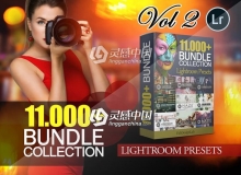 11000高级人像风景美食Lightroom预设集合 11000+ Advanced LR Presets Collection