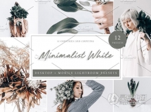 极简主义电影胶片Lightroom预设/手机APP滤镜 Lightroom Preset Minimalist White