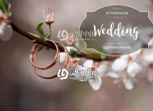 婚礼婚纱摄影后期Lightroom预设 Wedding Lightroom Presets