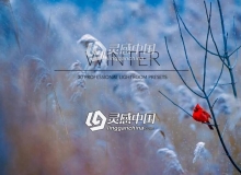 冬季风景Lightroom预设 Winter Lr Presets
