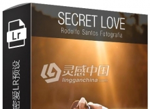 Rodolfo Santos-婚礼婚庆家庭秘密爱Lightroom预设