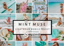 缪斯INS风夏季旅拍胶片人像Lightroom预设+手机版APP Lightroom预设